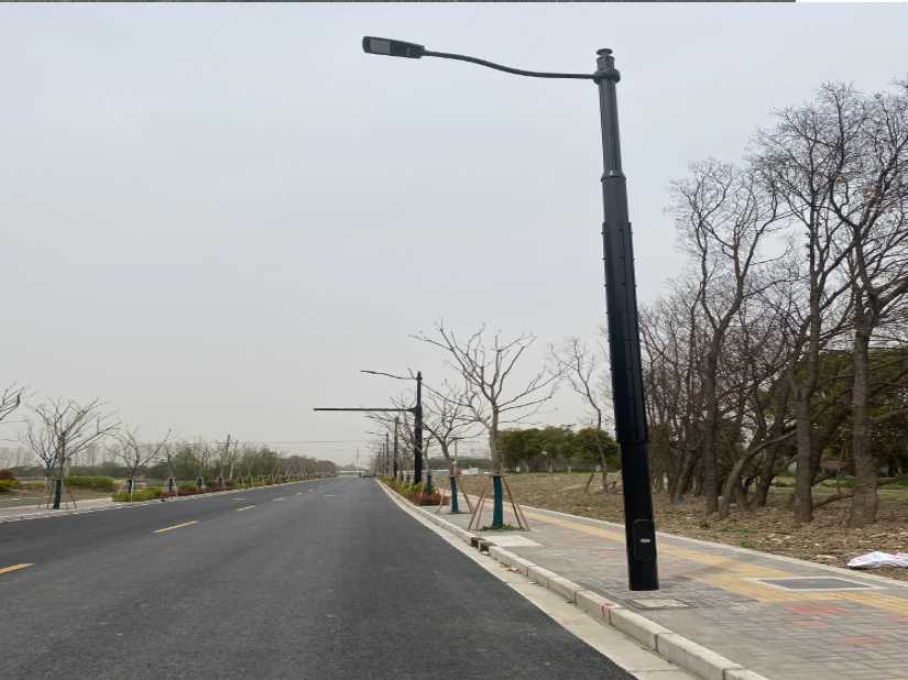 良庆区上海综合杆 太阳能路灯工程